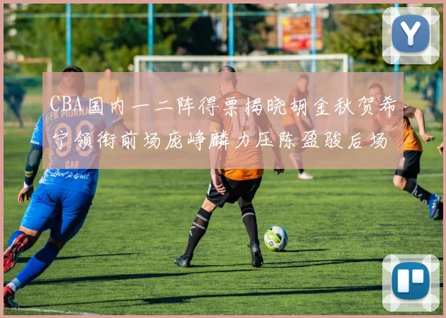 CBA国内一二阵得票揭晓胡金秋贺希宁领衔前场庞峥麟力压陈盈骏后场